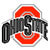 Ohio State Buckeyes